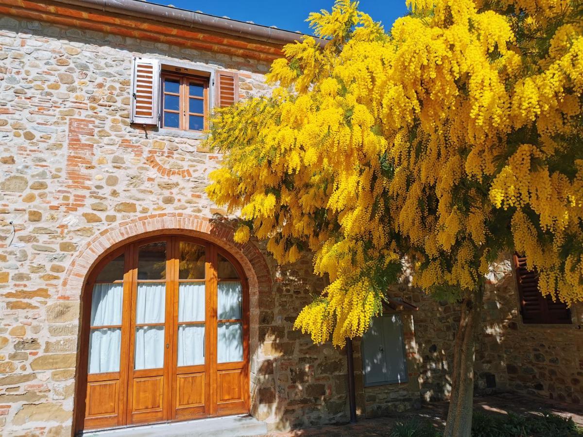 Antico Borgo Frosini Villa Arezzo Ngoại thất bức ảnh